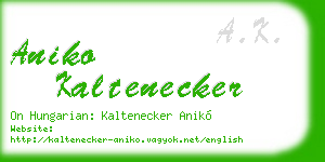 aniko kaltenecker business card