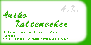 aniko kaltenecker business card